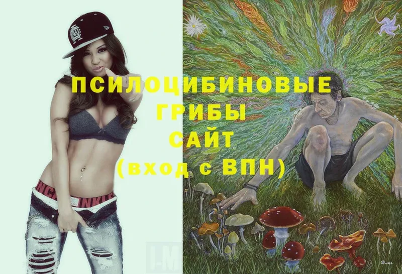 МЕГА рабочий сайт  Сургут  Псилоцибиновые грибы Cubensis 